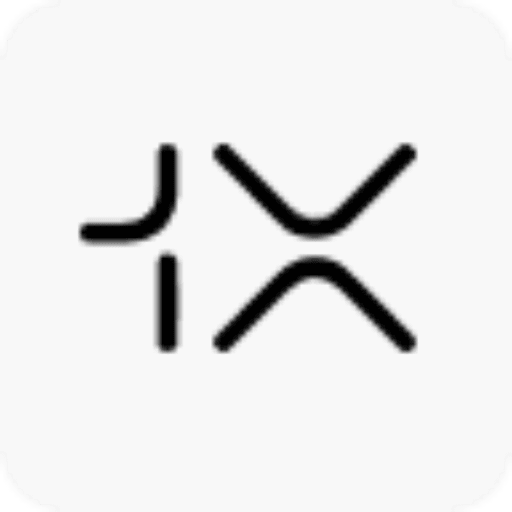1X logo