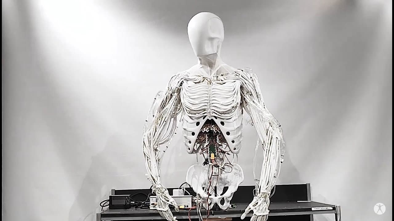 Clone Torso thumbnail 2