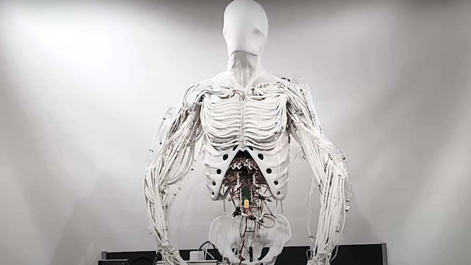 Clone Torso thumbnail 3