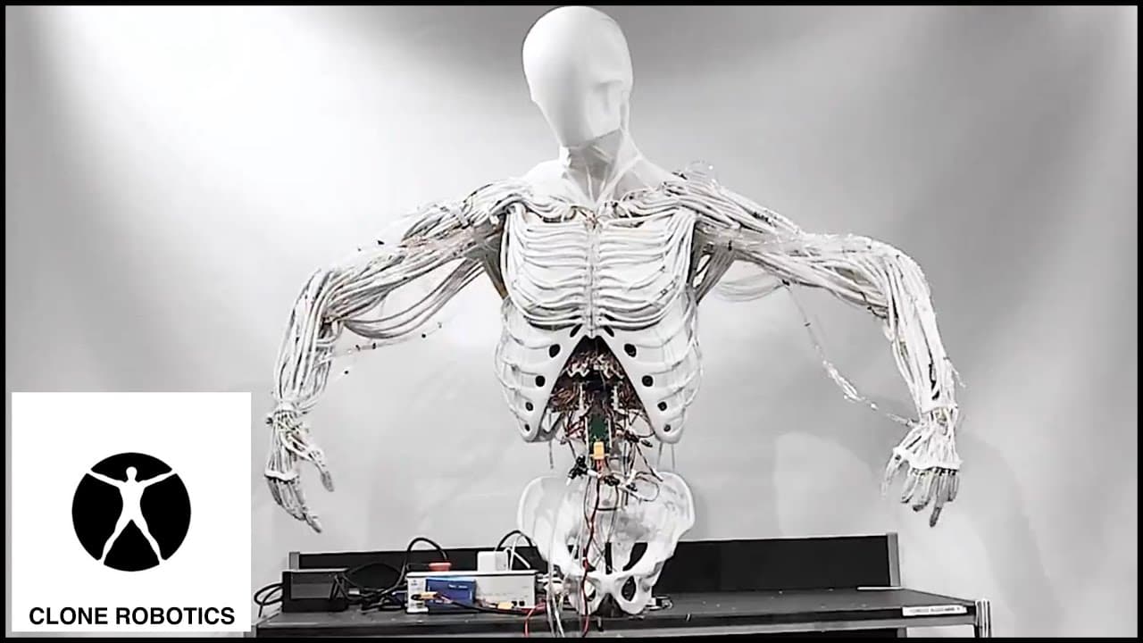 Clone Torso thumbnail 6