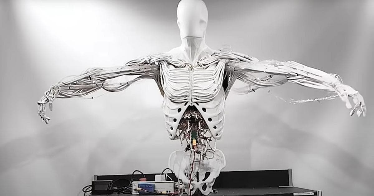 Clone Torso thumbnail 7