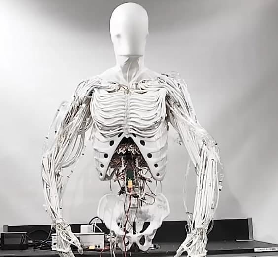 Clone Torso thumbnail 8