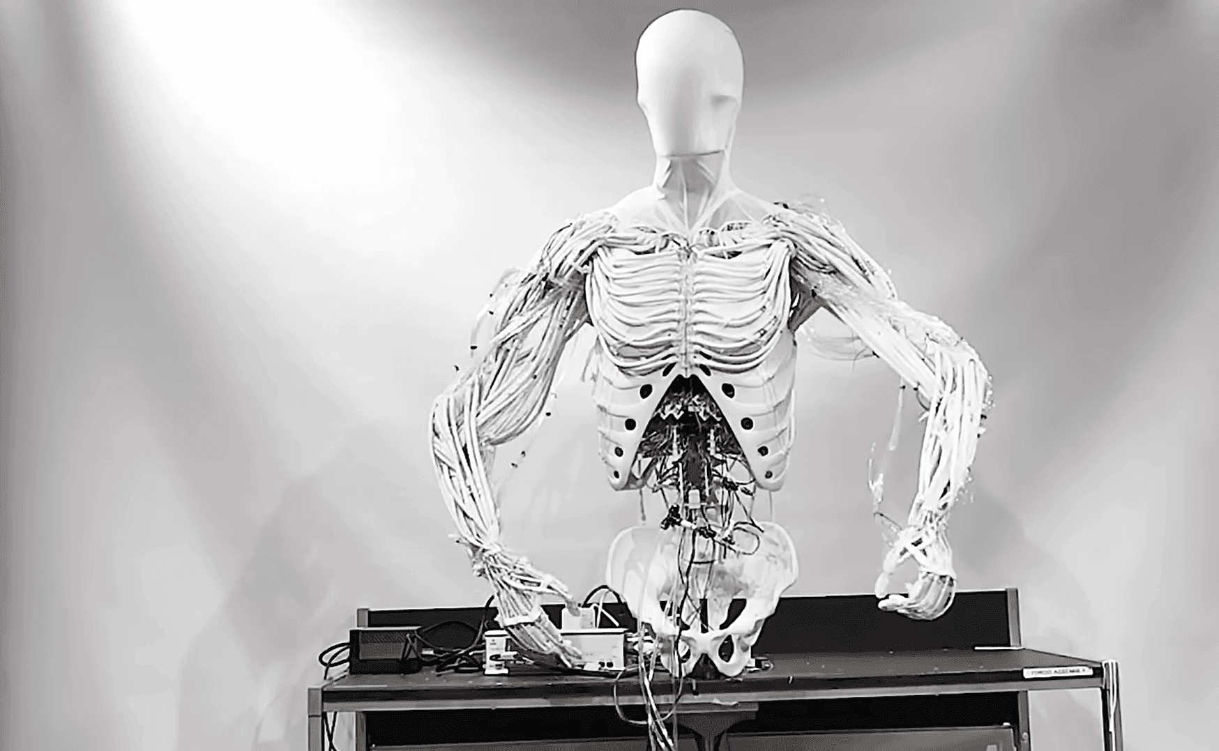 Clone Torso thumbnail 10