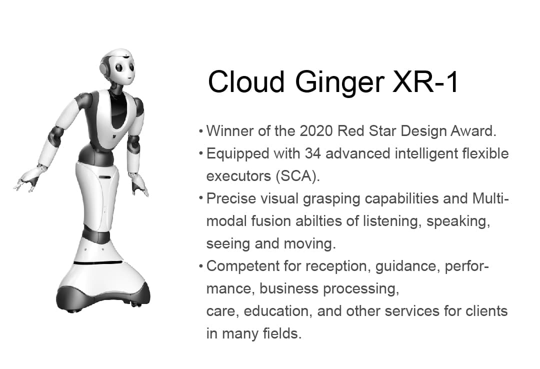 Cloud Ginger XR-1 thumbnail 2