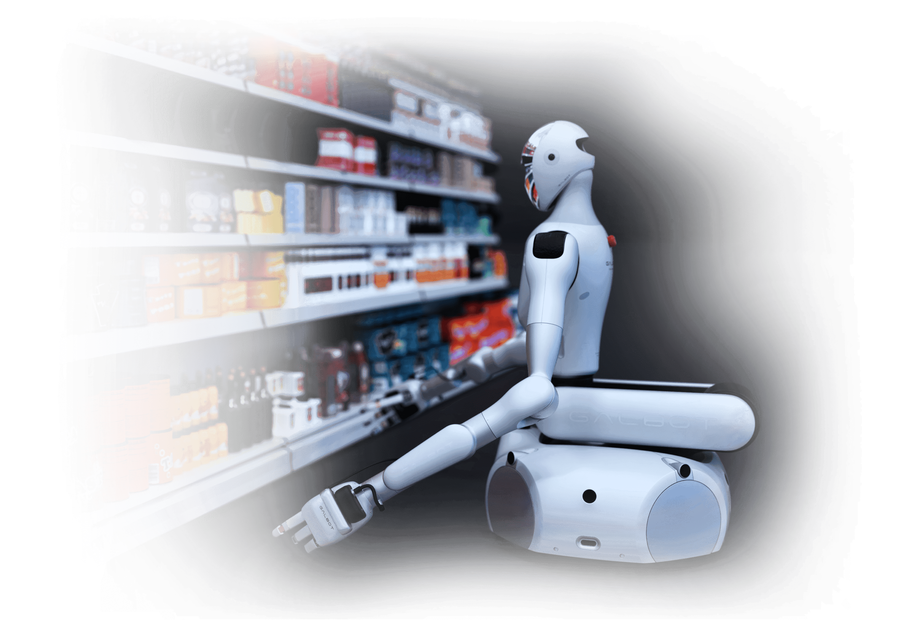 Galbot thumbnail 5