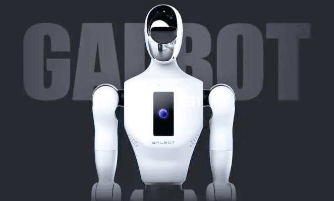 Galbot thumbnail 7