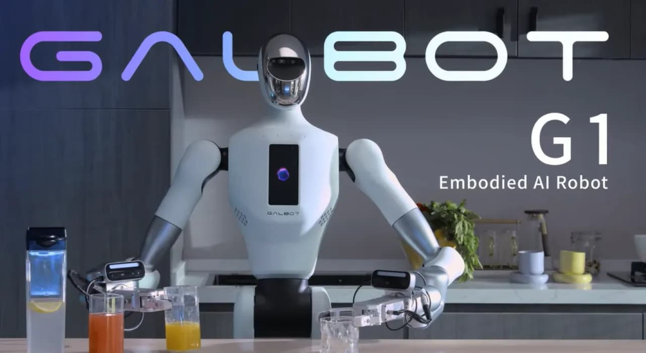 Galbot thumbnail 10