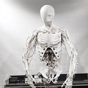 Clone Torso
