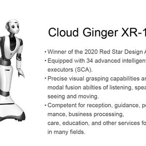 Cloud Ginger XR-1