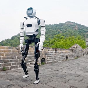 XBot-L